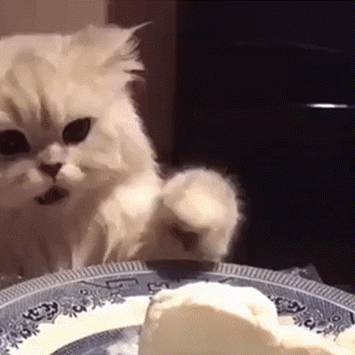 ッ mac ʚĭɞ's Icon