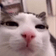 steam's Icon