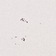 Kütexx's Icon