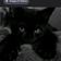 ZwrALTX's Icon