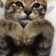 King auraDaeTarg's Icon