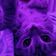 starlight ldar's Icon