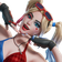 DSD Jackydee's Icon