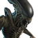 krossron25's Icon