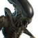 krossron25's Icon